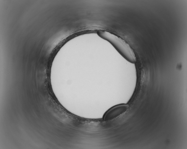 X0000115551261200912181544