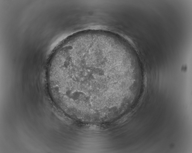 X0000115551263200912181544