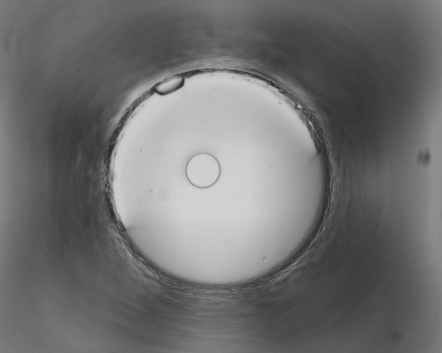 X0000115551264200912181544