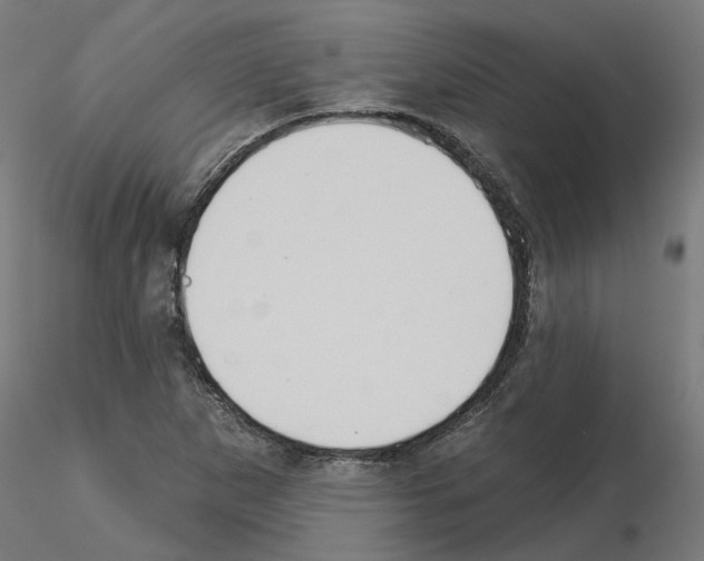 X0000115551265200912181544