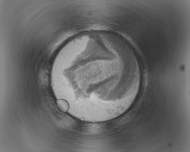 X0000115551266200912181544