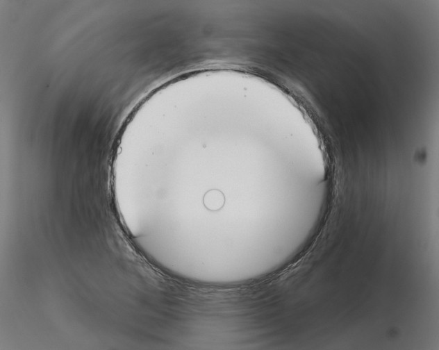 X0000115551268200912181544