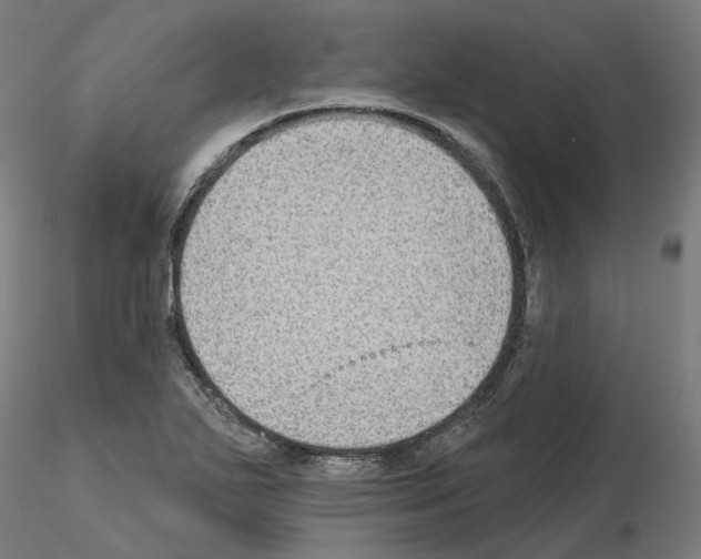 X0000115551271200912181544