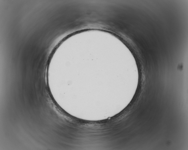 X0000115551272200912181544