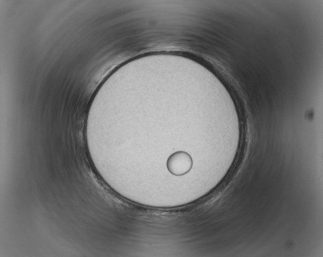 X0000115551273200912181544