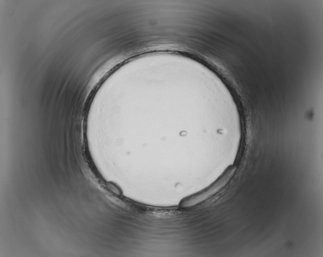 X0000115551274200912181544