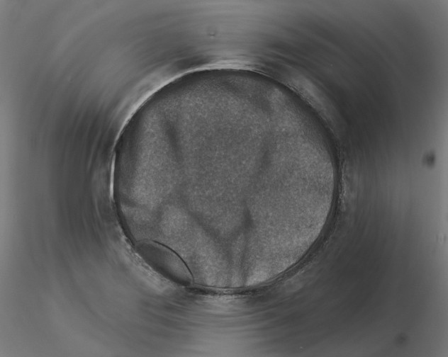 X0000115551276200912181544