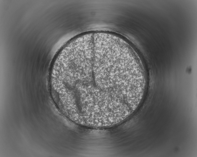 X0000115551277200912181544