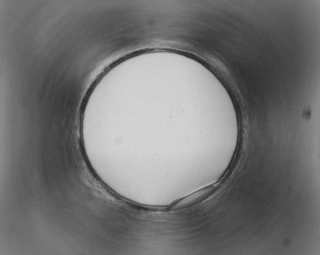 X0000115551280200912181544