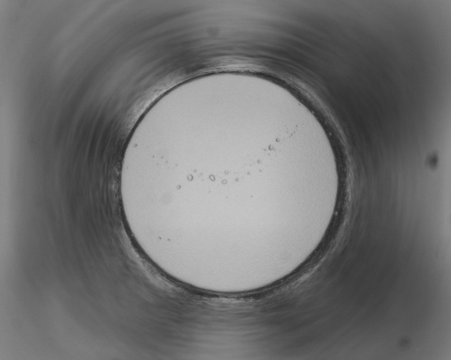 X0000115551281200912181544