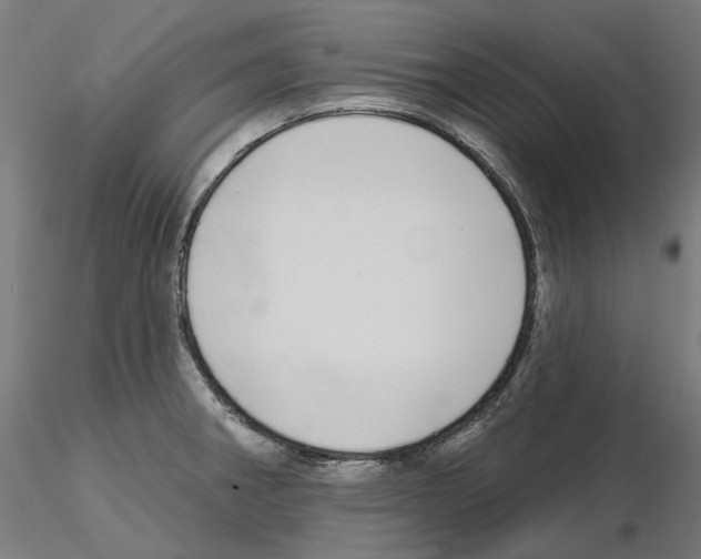 X0000115551282200912181544