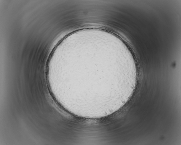 X0000115551283200912181544