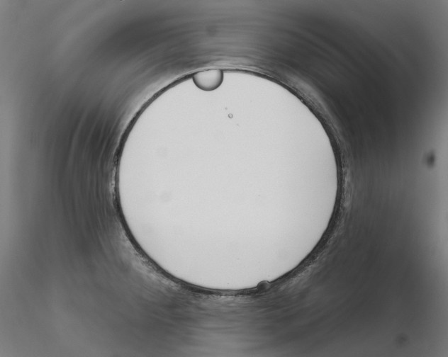 X0000115551284200912181544