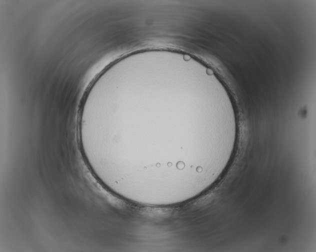 X0000115551286200912181544