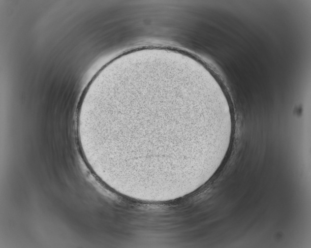 X0000115551287200912181544