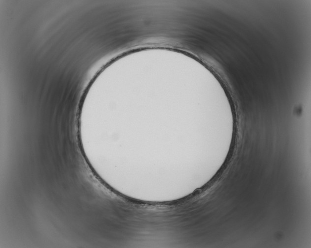 X0000115551288200912181544