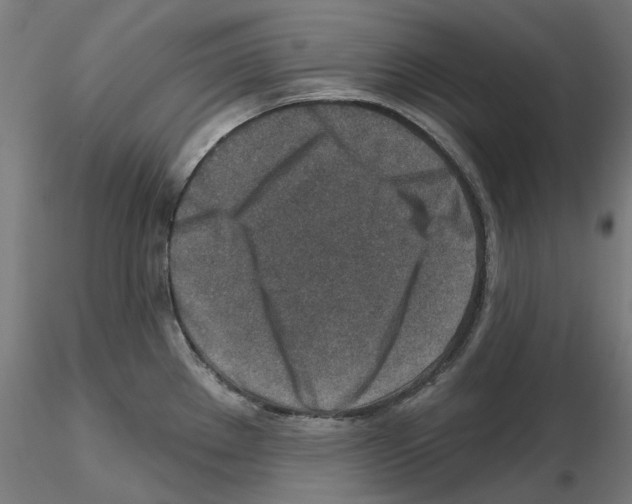 X0000115551289200912181544