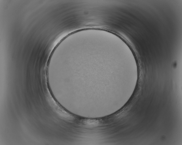 X0000115551291200912181544