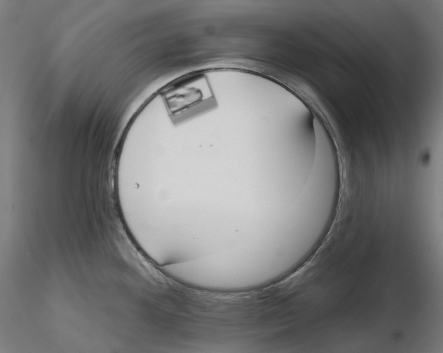 X0000115551292200912181544