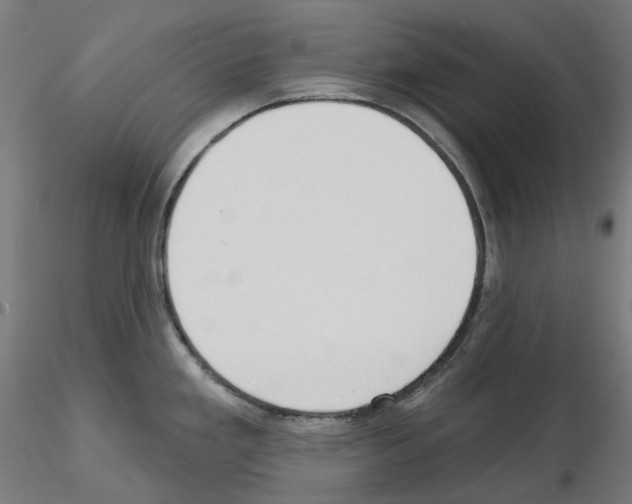 X0000115551293200912181544