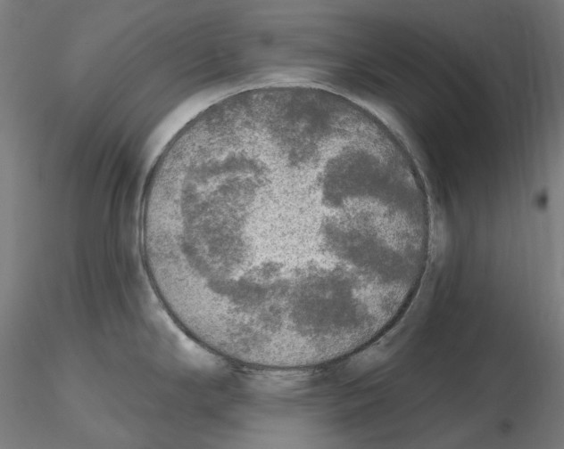 X0000115551294200912181544