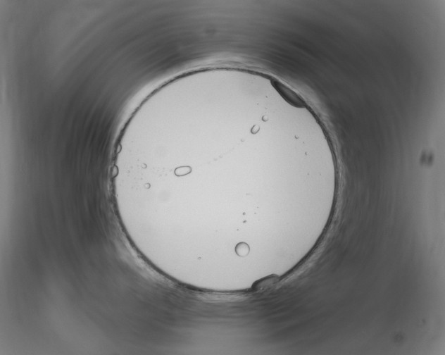 X0000115551296200912181544