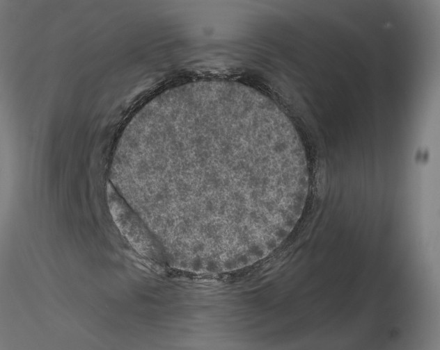 X0000115551297200912181543