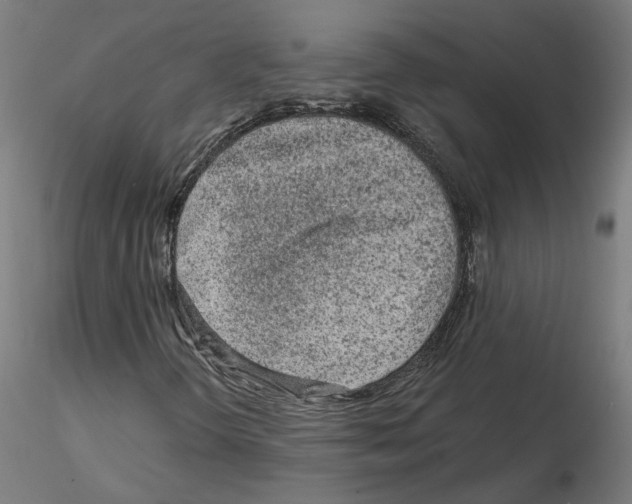 X0000115551298200912181543