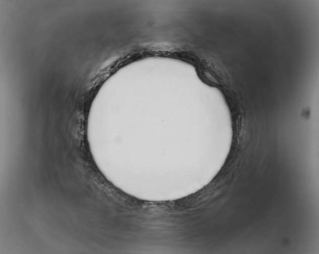 X0000115551301200912181543