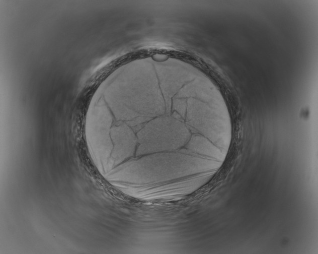 X0000115551303200912181543