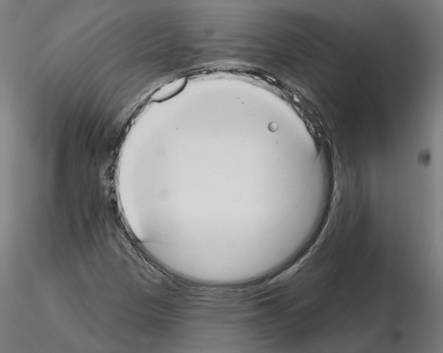 X0000115551305200912181543