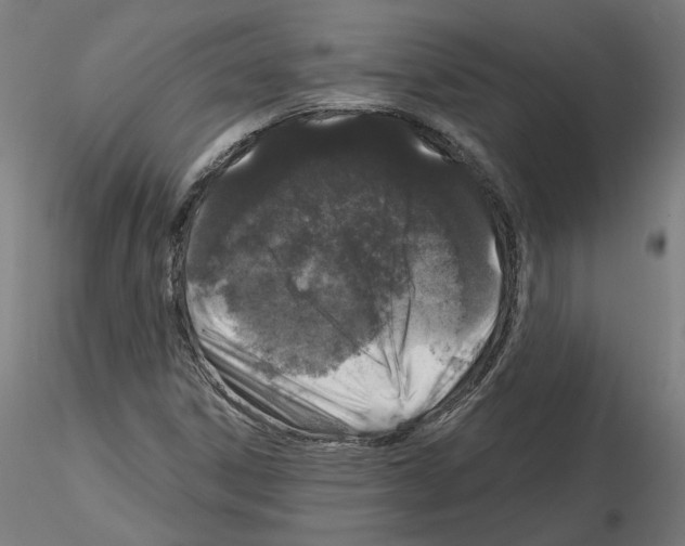 X0000115551306200912181543