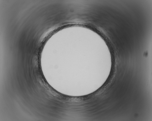 X0000115551307200912181543