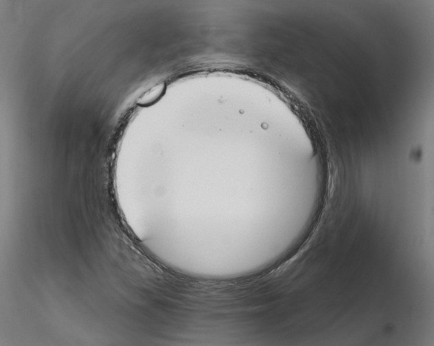 X0000115551309200912181543