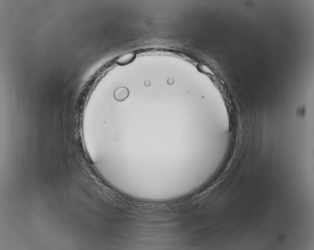 X0000115551310200912181544