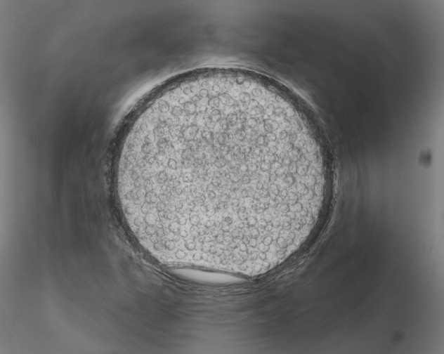 X0000115551311200912181544