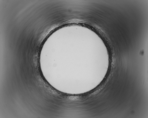 X0000115551313200912181544