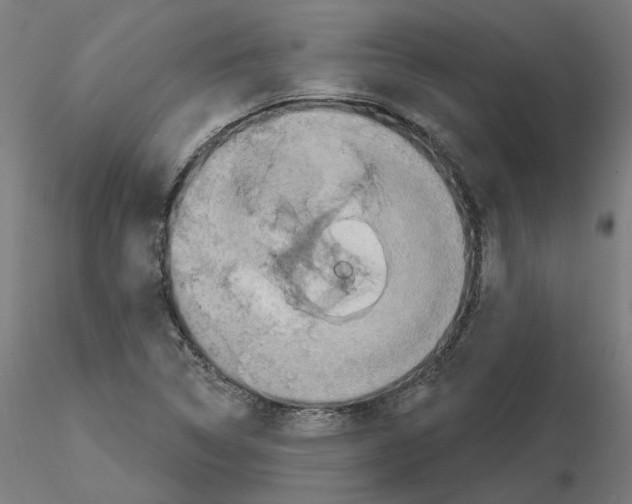 X0000115551314200912181544