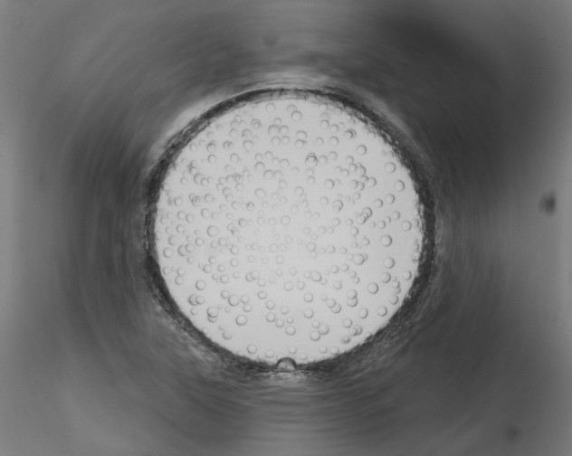 X0000115551315200912181544