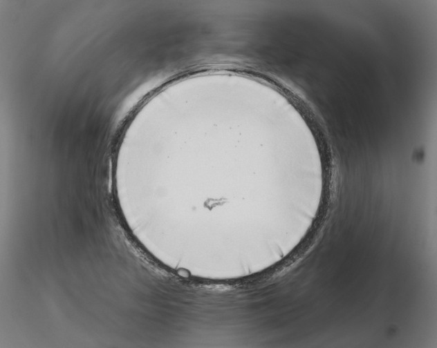 X0000115551317200912181544