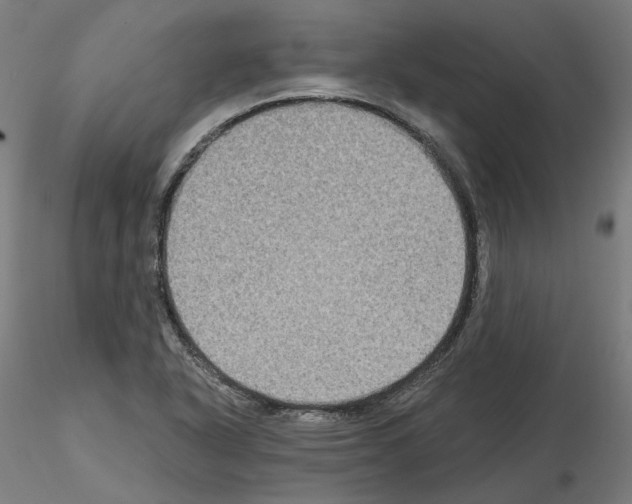 X0000115551318200912181544