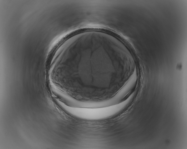 X0000115551319200912181544