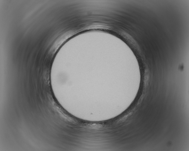 X0000115551321200912181544