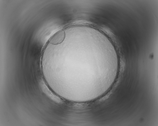 X0000115551322200912181544