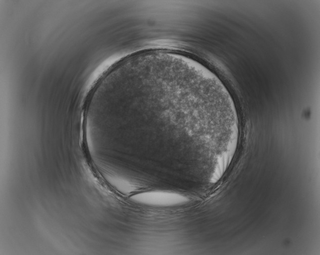 X0000115551323200912181544