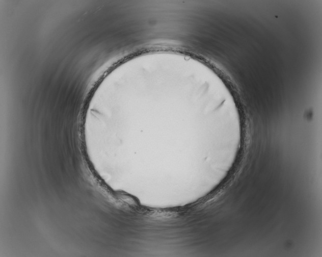 X0000115551325200912181544