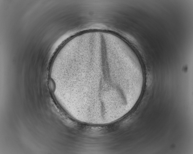 X0000115551326200912181544