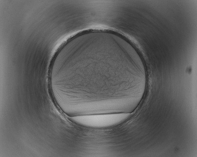 X0000115551327200912181544