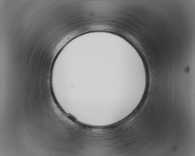 X0000115551330200912181544