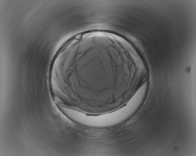 X0000115551334200912181544